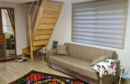 EXCLUSIV BLITZ !  Cabana in statiunea Muntele Baisorii