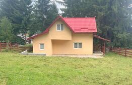 EXCLUSIV BLITZ !  Cabana in statiunea Muntele Baisorii