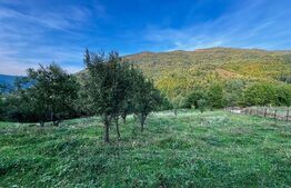 Teren 1812 mp de vânzare | Muntele Rece, cadru liniștit, Comision 0%