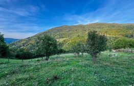 Teren 1812 mp de vânzare | Muntele Rece, cadru liniștit, Comision 0%