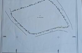 Teren 1812 mp de vânzare | Muntele Rece, cadru liniștit, Comision 0%