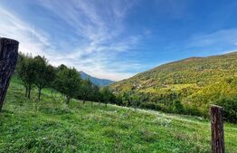 Teren 1812 mp de vânzare | Muntele Rece, cadru liniștit, Comision 0%