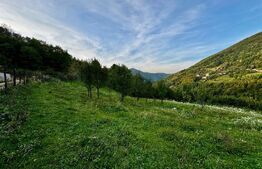 Teren 1812 mp de vânzare | Muntele Rece, cadru liniștit, Comision 0%