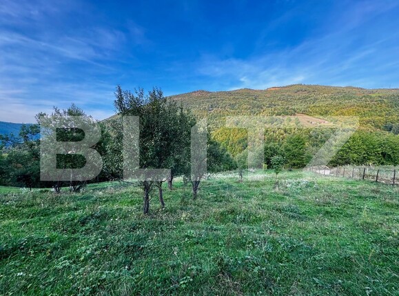 Teren de vânzare Muntele Rece - 177238TV | BLITZ Cluj-Napoca | Poza4