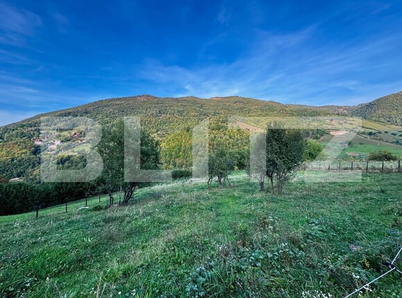 Teren de vânzare Muntele Rece - 177238TV | BLITZ Cluj-Napoca | Poza1