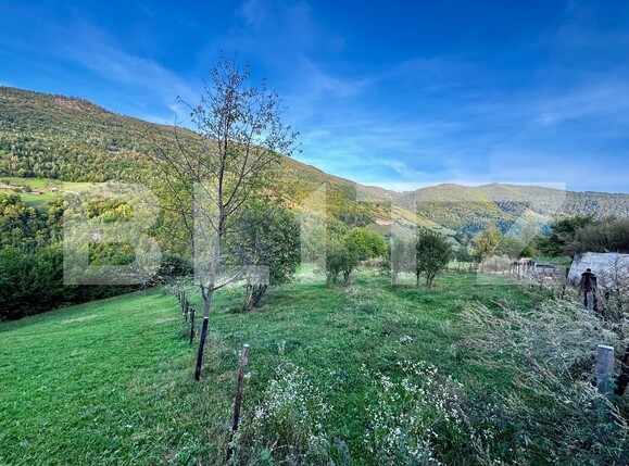 Teren de vânzare Muntele Rece - 177238TV | BLITZ Cluj-Napoca | Poza8