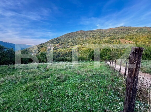 Teren de vânzare Muntele Rece - 177238TV | BLITZ Cluj-Napoca | Poza6