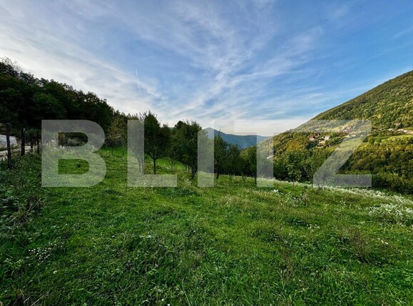 Teren de vânzare Muntele Rece - 177238TV | BLITZ Cluj-Napoca | Poza7