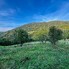 Teren de vânzare Muntele Rece - 177238TV - Poza 1 din 8 | BLITZ Cluj-Napoca | Poza1