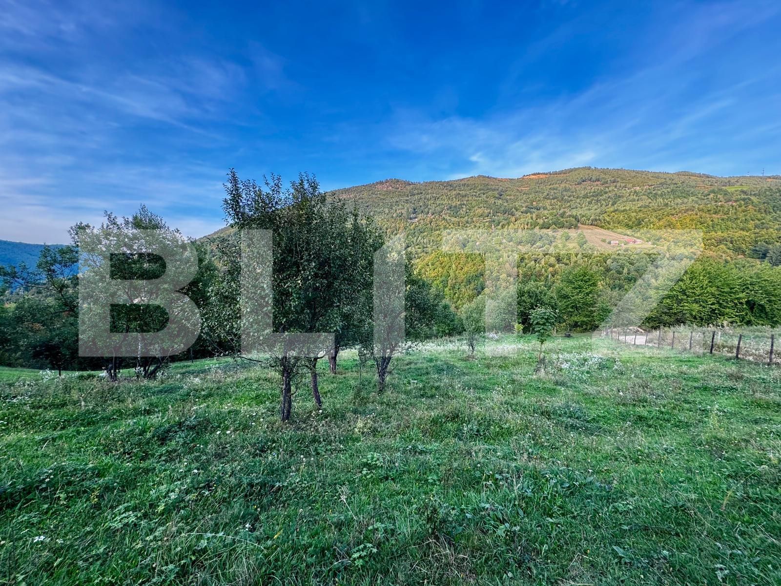 Teren de vânzare Muntele Rece - 177238TV | BLITZ Cluj-Napoca | Poza4