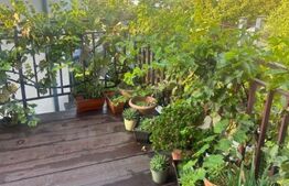 Apartament cu 3 camere, terasa, 67 mp, Buna Ziua-Cluj