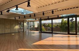 Spatiu modern in cladire unicat 