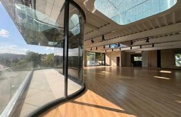 Spatiu modern in cladire unicat 