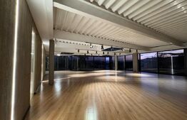 Spatiu modern in cladire unicat 