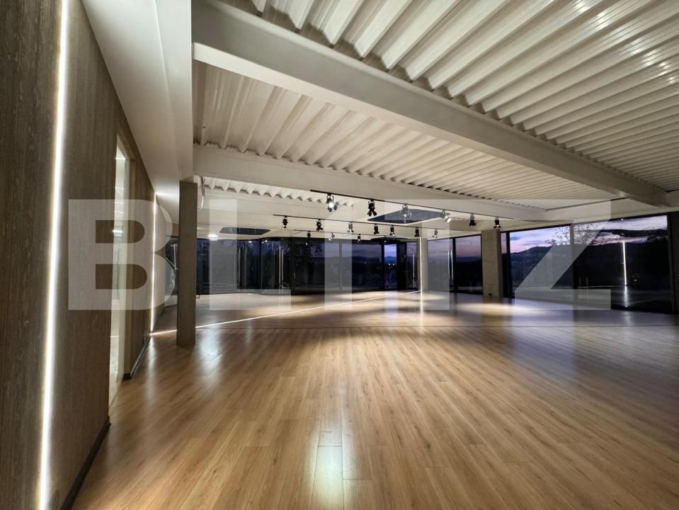 Spațiu birouri de închiriat Grigorescu - 177268SIB | BLITZ Cluj-Napoca | Poza3