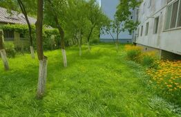 Apartament 3 camere | Mănăștur | Renovat complet | Parter înalt | Zonă verde