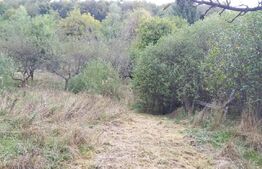 Exclusivitate ! Teren intravilan, 1528 mp, Valea Caprioarei , panorama !