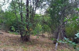 Exclusivitate ! Teren intravilan, 1528 mp, Valea Caprioarei , panorama !