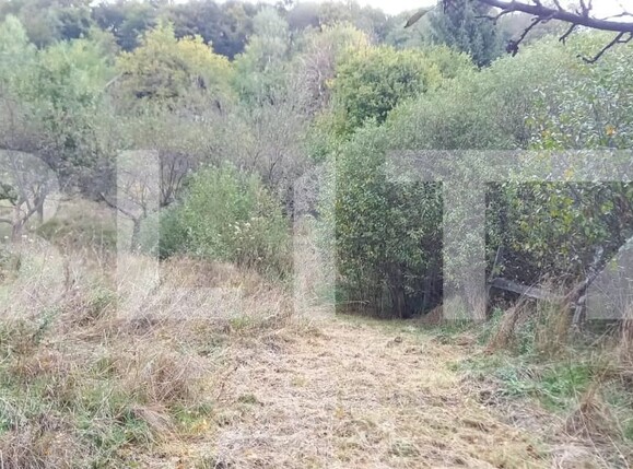 Teren de vânzare Feleacu - 177298TV | BLITZ Cluj-Napoca | Poza3