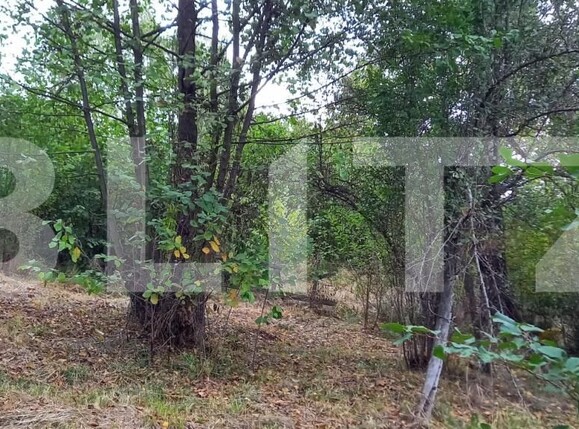 Teren de vânzare Feleacu - 177298TV | BLITZ Cluj-Napoca | Poza2