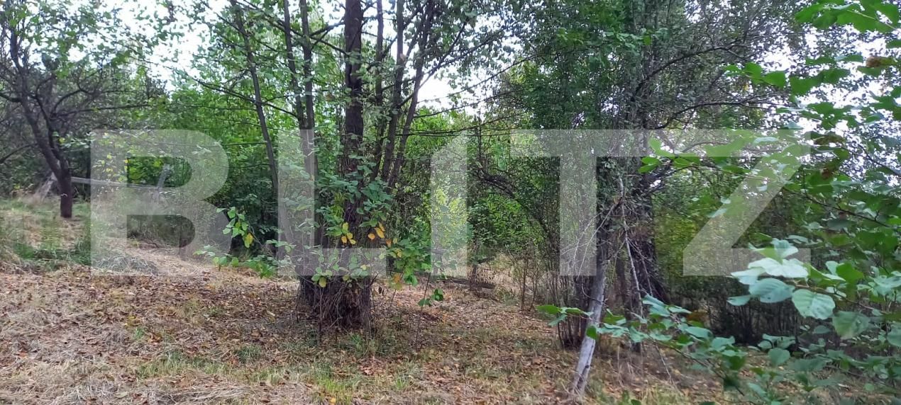 Teren de vânzare Feleacu - 177298TV | BLITZ Cluj-Napoca | Poza2