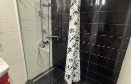 Apartament cu 2 camere, 42 mp + balcon 5 mp, zona Porii