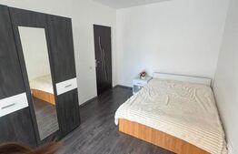 Apartament cu 2 camere, 42 mp + balcon 5 mp, zona Porii