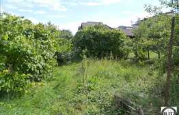 Oferta casa de vanzare, zona Andrei Muresanu, 120 mp utili plus 802 mp gradina