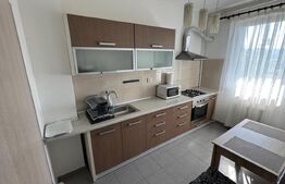 Apartament 1 camera, 38 mp, parcare, zona Coposu