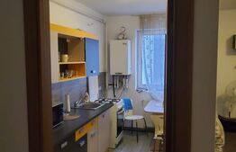 Apartament 1 camera, deocomandat, 44 mp, zona Corneliu Coposu 