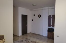 Apartament 1 camera, deocomandat, 44 mp, zona Corneliu Coposu 