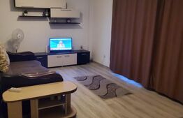 Apartament 1 camera, deocomandat, 44 mp, zona Corneliu Coposu 
