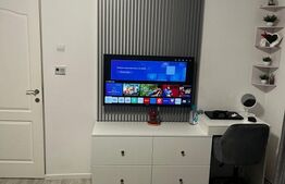 Apartament 2 camere, deco, 53,5 mp, balcon, etaj intermediar, Big-Manastur