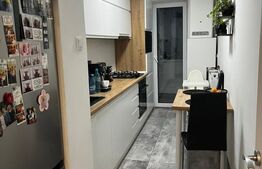 Apartament 2 camere, deco, 53,5 mp, balcon, etaj intermediar, Big-Manastur