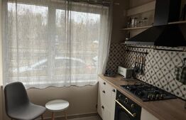 Apartament 4 camere, 100 mp, zona Parcului Central 