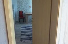 Apartament cu 2 camere, 60 mp utili, pet friendly, Borhanci