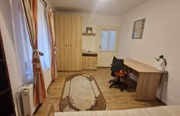 Casa in Centru Istoric, pod, pivnita, mobilata, 40 mp