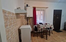 Casa in Centru Istoric, pod, pivnita, mobilata, 40 mp