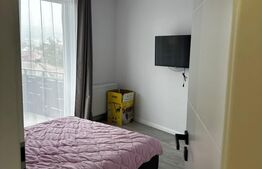 Apartamente cu 2 camere, 48 mp, Balcon, Mobilat Modern, zona Marasti