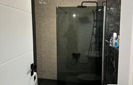 Apartamente cu 2 camere, 48 mp, Balcon, Mobilat Modern, zona Marasti