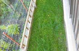 Casa finisata recent in zona noua a cartierului Andrei Muresanu!