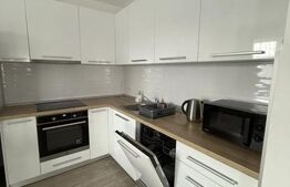 Apartament modern cu 2 camere, semidecomandat, 70 mp, zona Corneliu Coposu