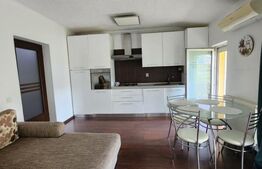 Apartament 2 camere, 50 mp, 2 balcoane, pod 45 mp, parcare, zona Porii