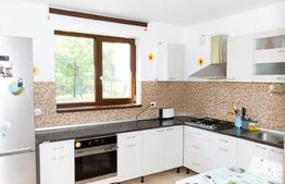 Casa individuala, 4 dormitoare, 210 mp, 450 mp teren, garaj, zona Metro/Vivo