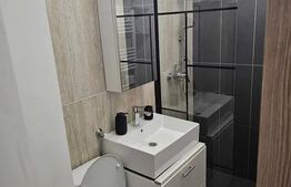 Apartament 2 camere renovat,  45 mp, parter + parcare, Avram Iancu