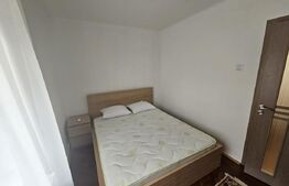 Apartament 2 camere renovat,  45 mp, parter + parcare, Avram Iancu