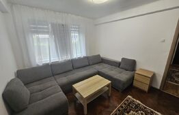 Apartament 2 camere renovat,  45 mp, parter + parcare, Avram Iancu
