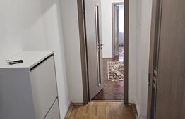 Apartament 2 camere renovat,  45 mp, parter + parcare, Avram Iancu