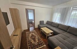 Apartament 2 camere renovat,  45 mp, parter + parcare, Avram Iancu