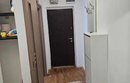 Apartament 2 camere renovat,  45 mp, parter + parcare, Avram Iancu